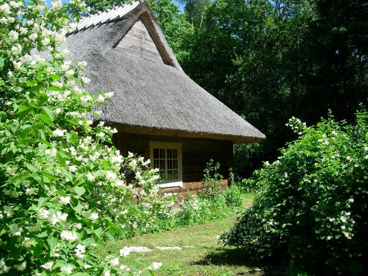 Kotka Farm Hotel Saarekula Ngoại thất bức ảnh
