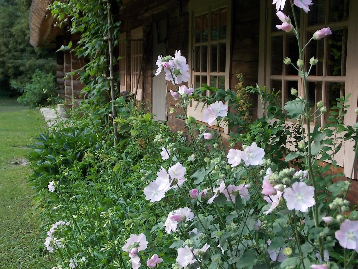 Kotka Farm Hotel Saarekula Ngoại thất bức ảnh